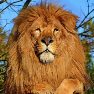 Screenshot-2025-08-23-074158